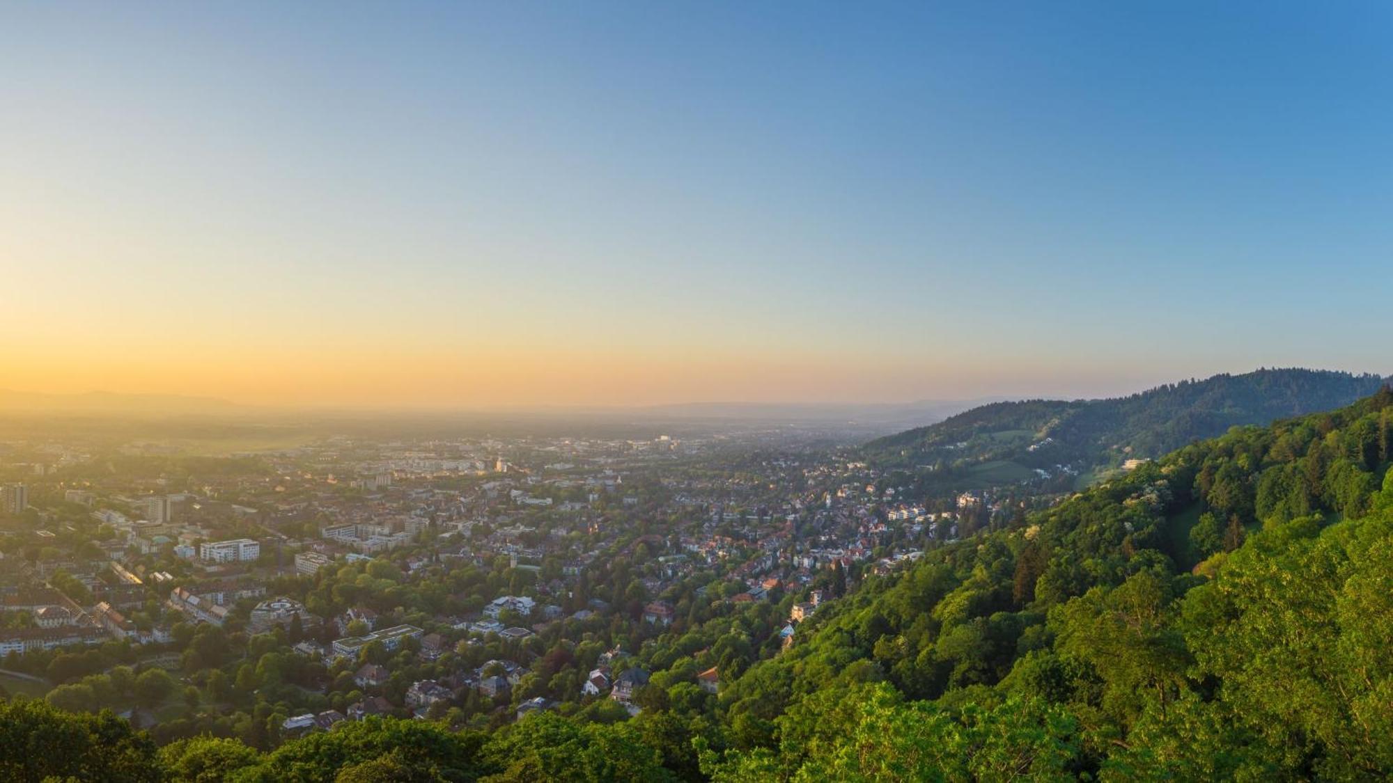 Ferienwohnung Muenster, Sehr Zentral Freiburg im Breisgau Exteriör bild