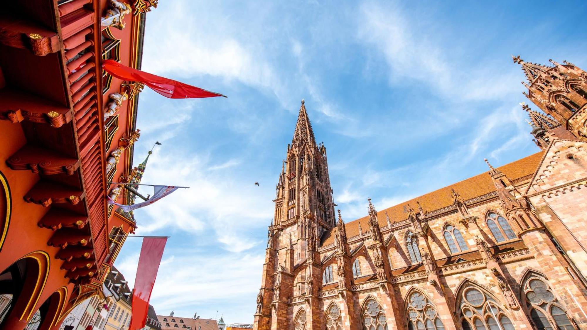 Ferienwohnung Muenster, Sehr Zentral Freiburg im Breisgau Exteriör bild
