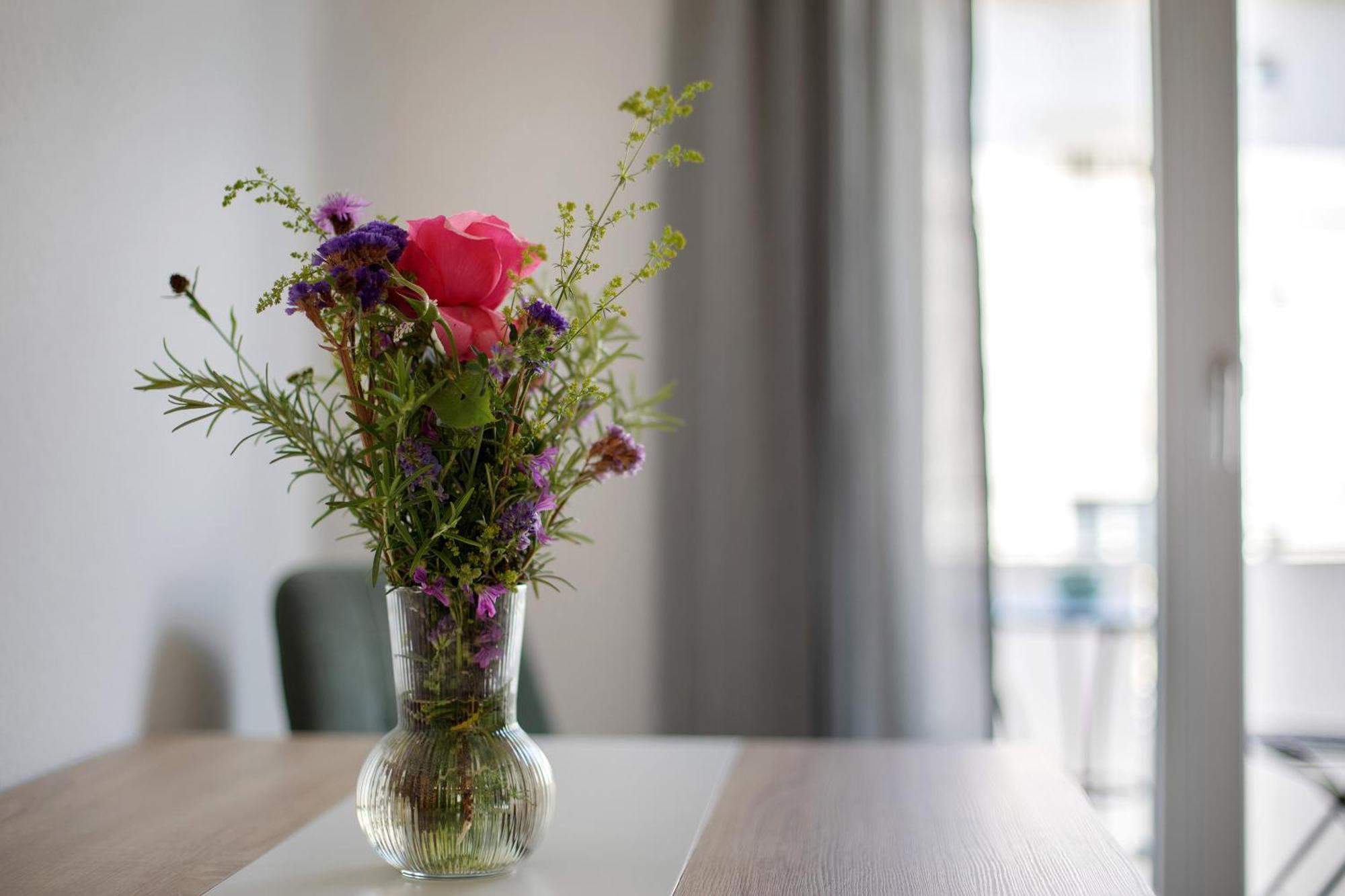 Ferienwohnung Muenster, Sehr Zentral Freiburg im Breisgau Exteriör bild